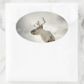 Sticker Ovale Photo de la nature des rennes (Sac)