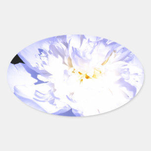 Sticker Ovale Photo Peony blanc et violet
