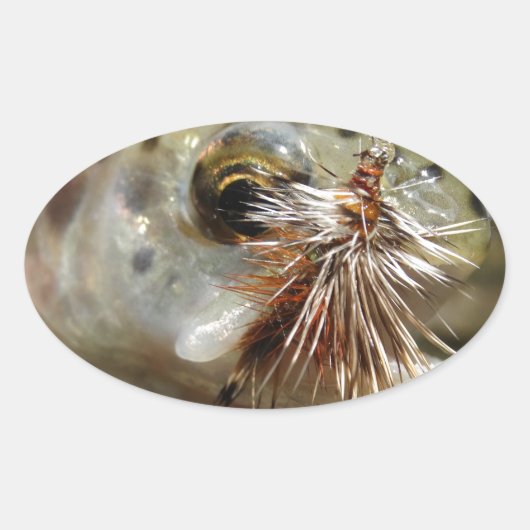 Sticker Ovale Photo Rainbow Trump (Devant)