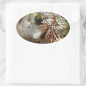 Sticker Ovale Photo Rainbow Trump (Sac)