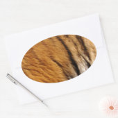 Sticker Ovale Photo Tiger Stripes Big Cat Wildlife (Enveloppe)