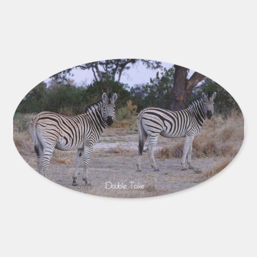 Sticker Ovale Photo Zebra Double Take (Devant)