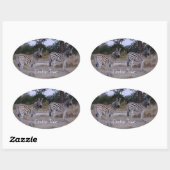 Sticker Ovale Photo Zebra Double Take (Feuille)