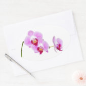 Sticker Ovale Photographie de fermeture d'orchidées radiantes (Enveloppe)