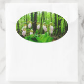 Sticker Ovale Pink Lady Slipper sauvage orchidée (Sac)