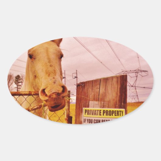 Sticker Ovale Pink Private Property Horse (Devant)