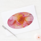 Sticker Ovale Pink Rose w/ Dew Drops Black Background (Enveloppe)
