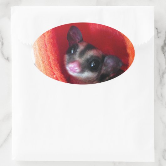 Sticker Ovale Planeur à sucre en Orange Hanging Lit (Sac)