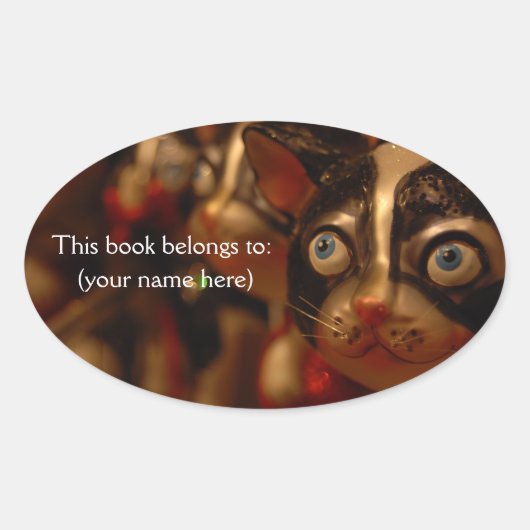 Sticker Ovale Plaque de chat Derp, ronde (Devant)