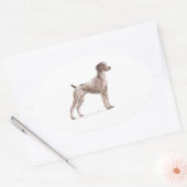 Sticker Ovale Pointeur à poils courts allemand (Enveloppe)