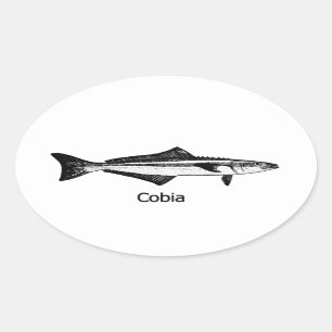 Sticker Ovale Poisson Cobia