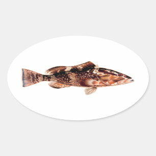 Sticker Ovale Poisson de groupe