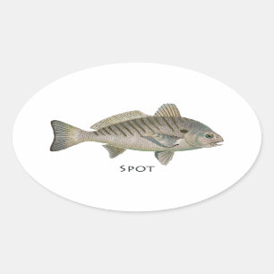 Sticker Ovale Poissons de tache