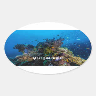 Sticker Ovale Poissons tropicaux Grande Barrière de corail Mer d