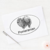 Sticker Ovale Pomeranian Euro (Enveloppe)