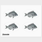 Sticker Ovale Porgy - Scup (Feuille)