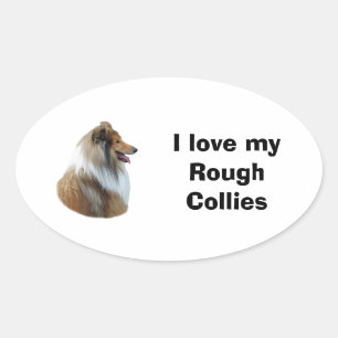 Sticker Ovale Portrait de Rough Collie