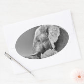 Sticker Ovale Portrait d'éléphant (Enveloppe)