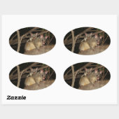 Sticker Ovale Possum Brushtail (Feuille)