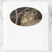 Sticker Ovale Possum Brushtail (Sac)