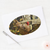 Sticker Ovale Poulet noir et blanc dans la ferme (Enveloppe)