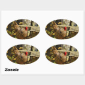 Sticker Ovale Poulet noir et blanc dans la ferme (Feuille)
