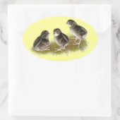 Sticker Ovale Poussins de caille Coturnix (Sac)