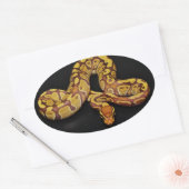 Sticker Ovale Python Brown et Gold Ball (Enveloppe)