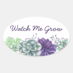 Sticker Ovale Regarde-moi grandir aquarelle succulents botanique