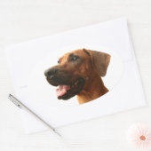 Sticker Ovale Rhodesian Ridgeback (Enveloppe)