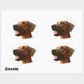 Sticker Ovale Rhodesian Ridgeback (Feuille)