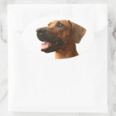 Sticker Ovale Rhodesian Ridgeback (Sac)