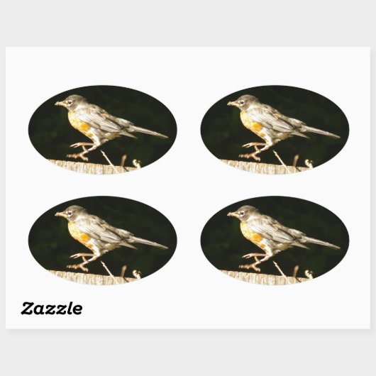 Sticker Ovale Robin (Feuille)