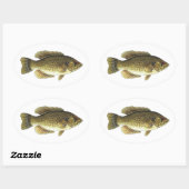 Sticker Ovale Rock Bass - Red Eye (Feuille)