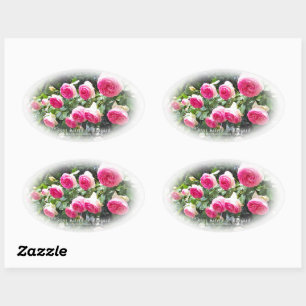 Sticker Ovale Rosa Pierre de Ronsard [phoque ovale] 楕 円 形 ー ル