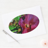 Sticker Ovale Rose de carême rose Bourgogne (Enveloppe)