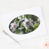 Sticker Ovale Rose de Sharon (Enveloppe)