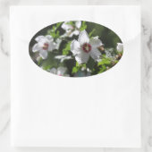 Sticker Ovale Rose de Sharon (Sac)