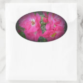 Sticker Ovale Rose Escalade rose (Sac)