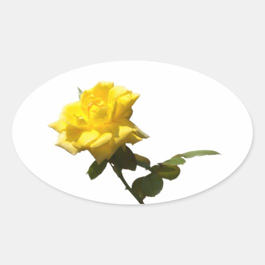Sticker Ovale Rose jaune (Devant)