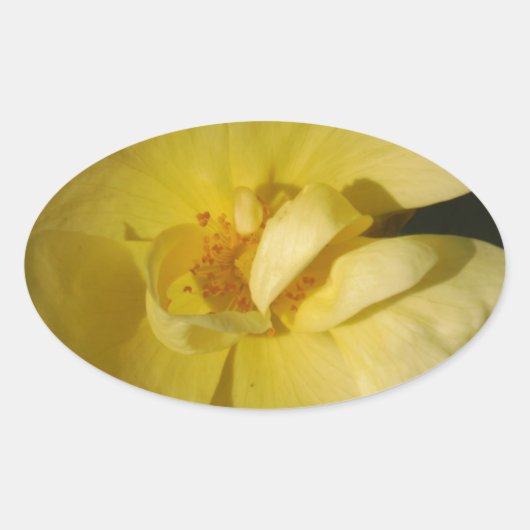 Sticker Ovale Rose jaune sauvage (Devant)