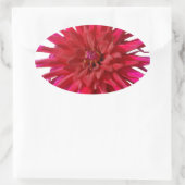 Sticker Ovale Rose Lilly (Sac)