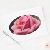 Sticker Ovale Rose rose I Jolie photo florale (Enveloppe)
