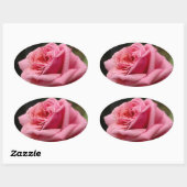 Sticker Ovale Rose rose I Jolie photo florale (Feuille)