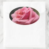 Sticker Ovale Rose rose I Jolie photo florale (Sac)