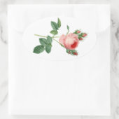 Sticker Ovale rose vintage botanical illustration (Sac)