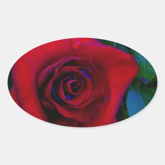 Sticker Ovale Roses rouges aux tons bleus (Devant)