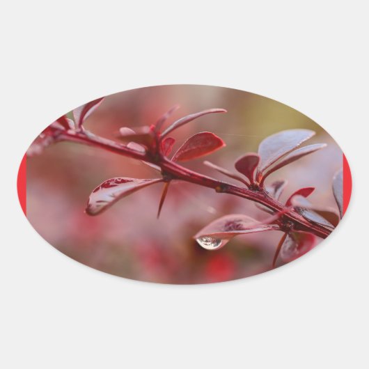 Sticker Ovale rouge feuillu (Devant)