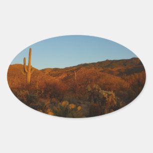 Sticker Ovale Saguaro Sunset I Arizona Désert Paysage