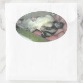 Sticker Ovale Saigneuse à sucre dormant dans la couverture (Sac)